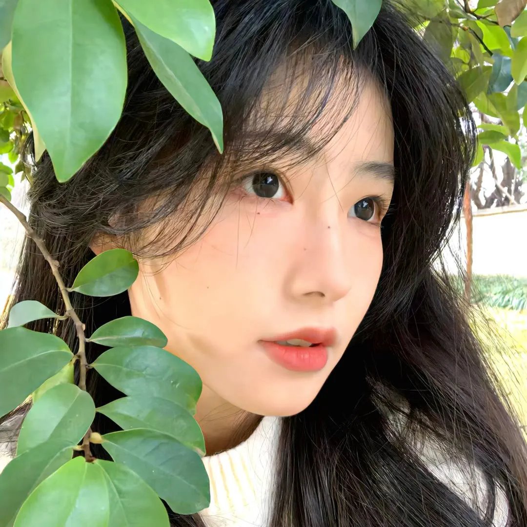 陆昭昭的刺客笔记